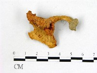 登錄號:F0008386藏品圖，第1張