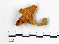 登錄號:F0008386藏品圖，第3張