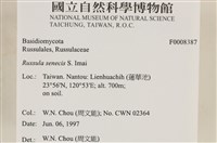 登錄號:F0008387藏品圖，第7張