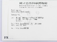 紅菇屬藏品圖，第2張