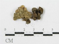 登錄號:F0008389藏品圖，第3張