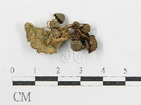 登錄號:F0008389藏品圖，第4張