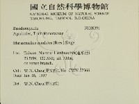 登錄號:F0008391藏品圖，第2張