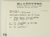 登錄號:F0008392藏品圖，第2張