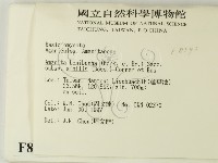 登錄號:F0008393藏品圖，第2張
