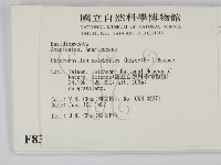 登錄號:F0008394藏品圖，第2張