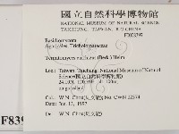 登錄號:F0008397藏品圖，第2張