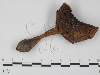 登錄號:F0008397藏品圖，第1張