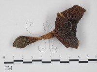 登錄號:F0008397藏品圖，第3張