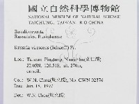 登錄號:F0008399藏品圖，第2張