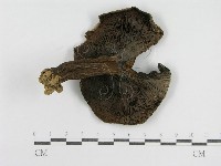 登錄號:F0008400藏品圖，第3張