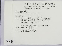 小菇屬藏品圖，第2張