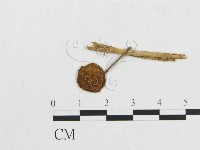 登錄號:F0008405藏品圖，第1張