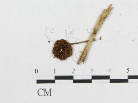 登錄號:F0008405藏品圖，第3張