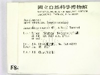 登錄號:F0008406藏品圖，第2張