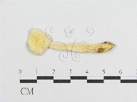 登錄號:F0008409藏品圖，第3張