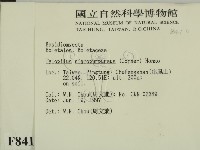 登錄號:F0008410藏品圖，第2張