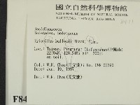 登錄號:F0008411藏品圖，第2張