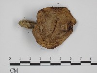 登錄號:F0008411藏品圖，第3張