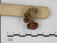 登錄號:F0008412藏品圖，第3張