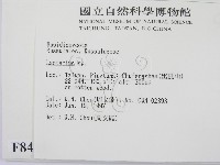 乳菇屬藏品圖，第2張