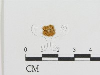 登錄號:F0008415藏品圖，第1張