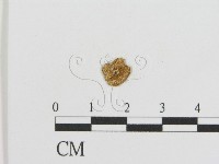 登錄號:F0008415藏品圖，第3張