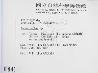 微皮傘屬藏品圖，第2張