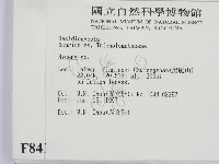 小菇屬藏品圖，第2張