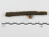 登錄號:F0008418藏品圖，第3張