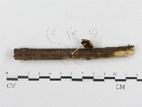 登錄號:F0008418藏品圖，第4張