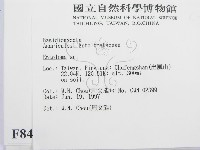 粉褶菌屬藏品圖，第2張