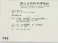 小皮傘屬藏品圖，第2張