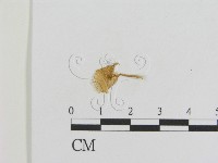 登錄號:F0008423藏品圖，第1張