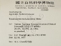 登錄號:F0008425藏品圖，第2張