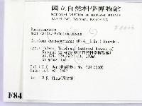 登錄號:F0008426藏品圖，第2張