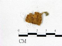 登錄號:F0008426藏品圖，第1張