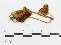 登錄號:F0008427藏品圖，第1張