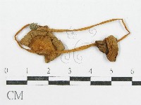 登錄號:F0008427藏品圖，第3張