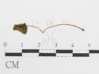 登錄號:F0008429藏品圖，第3張