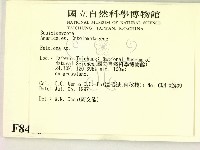 粉褶菌屬藏品圖，第2張