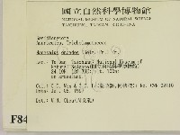 登錄號:F0008431藏品圖，第2張