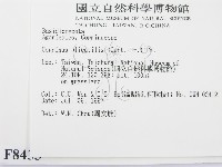 登錄號:F0008433藏品圖，第2張