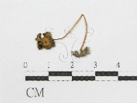 登錄號:F0008433藏品圖，第3張