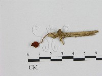 登錄號:F0008440藏品圖，第1張