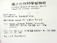 登錄號:F0008445藏品圖，第2張