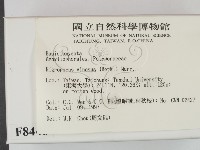 登錄號:F0008446藏品圖，第2張