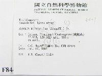 登錄號:F0008447藏品圖，第2張