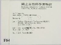 小菇屬藏品圖，第2張