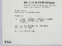 小菇屬藏品圖，第2張